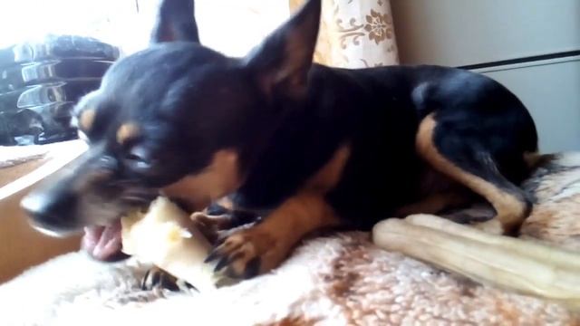 ТЕТЯ НАТАЛА ЛЯЛЯ И МАРТА смотреть онлайн