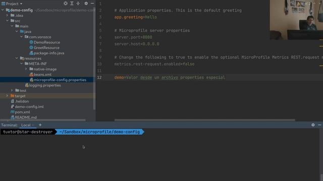Externalización de configuración de servicios con MicroProfile, Kubernetes, Helidon y Oracle Cloud смотреть онлайн