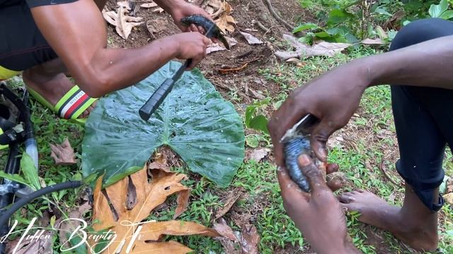 BLUE hole spear fishing roast breadfruit Ñ fry fish great adventure смотреть онлайн