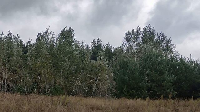 6 Знаков Зодиака с самой тяжелой судьбой... И как это исправить.. смотреть онлайн