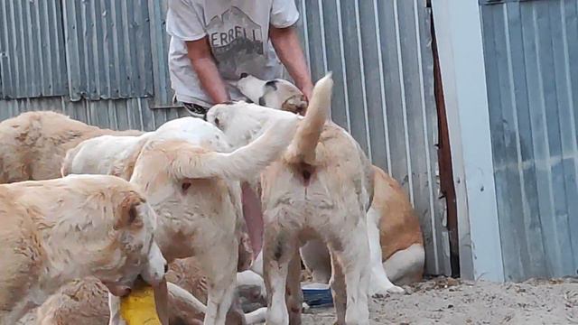 11 июня 2022 г. смотреть онлайн