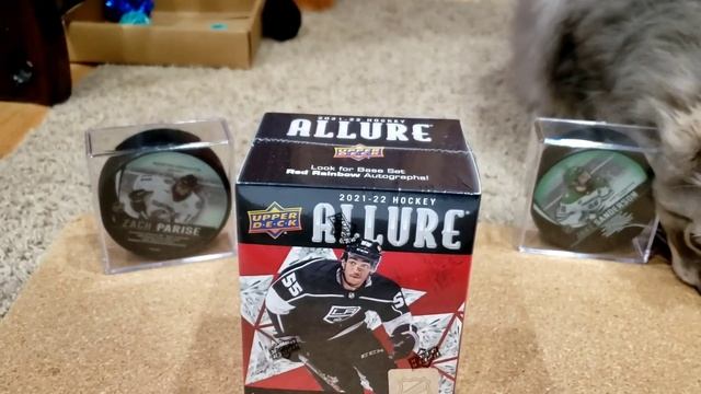Slappy Mail and Disco Balls - 2022-23 Allure Hockey смотреть онлайн