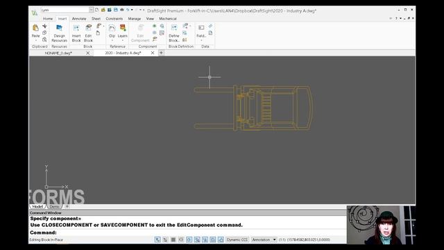Lynn Allen Explains Speedy Block (and Nested Block) Editing in DraftSight смотреть онлайн