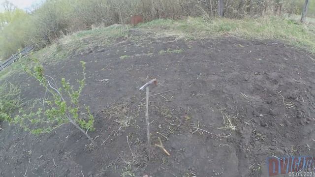 За 2 года ты получишь полноценные саженцы яблони любого сорта, Прививки груш и яблонь 2021 смотреть онлайн