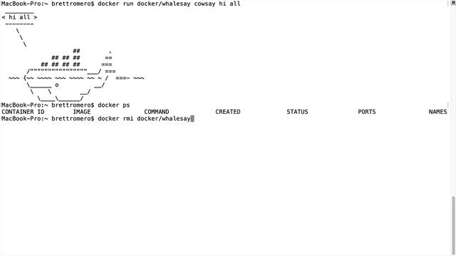 Docker Tutorial - Images And Containers смотреть онлайн