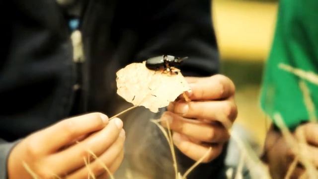 2012 ILS Convertible Focus video IntelR AtomTM N2600 high res 720 смотреть онлайн