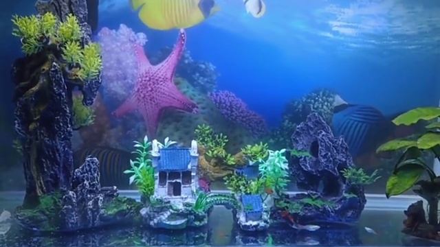 Декоративные аксессуары для аквариума