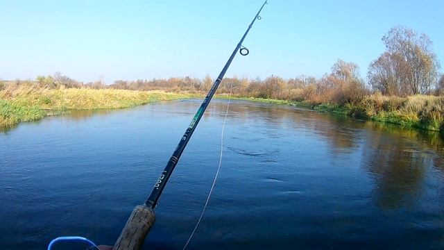 Ловля ЩУКИ на ТВИЧИНГ. Сплав по реке Ипуть с быстрым течением. смотреть онлайн