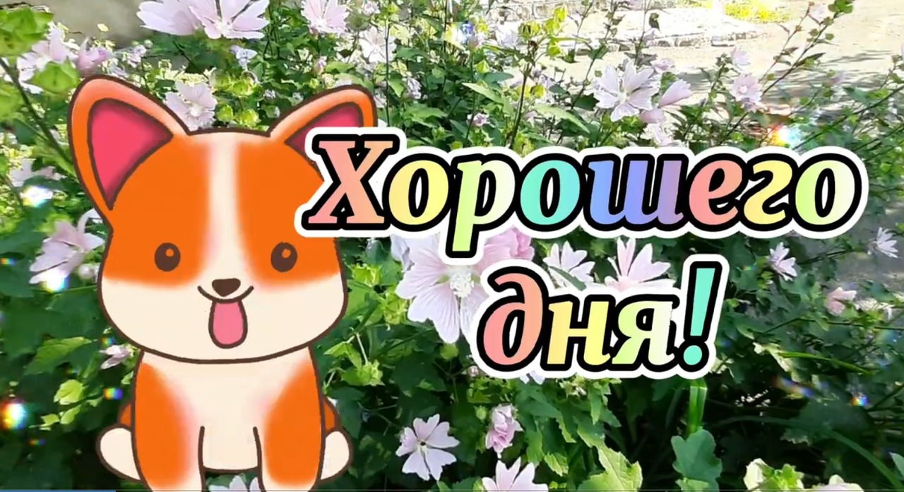 Доброе Утро Вторник 9 августа! Отличного Дня! Чтобы День прошел на Ура! Зарядись Позитивом с Утра? смотреть онлайн