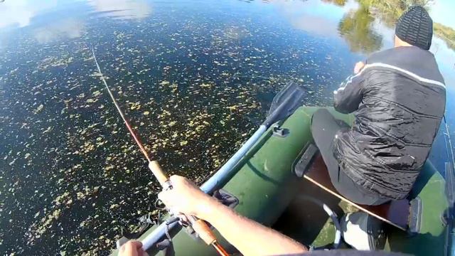 Ловля щуки (крещение новичка) смотреть онлайн