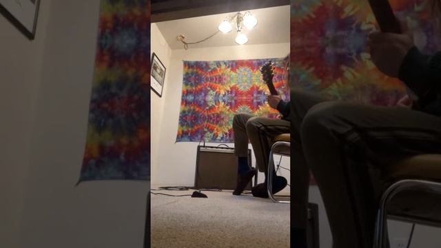 Gibson Hawk and 70’ Univox Gimme LP смотреть онлайн