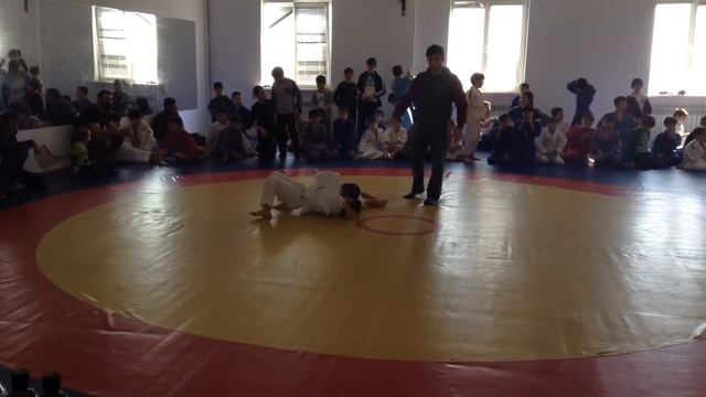 Шамиль самбо 3 школа смотреть онлайн