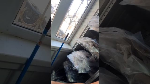 диоды с6 смотреть онлайн