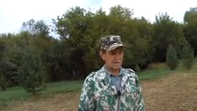 Хотел лучше , получилось как всегда. "АЛКНБЕНС" на удачу смотреть онлайн