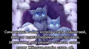 История Синей Звезды⭐️?/Коты-воители