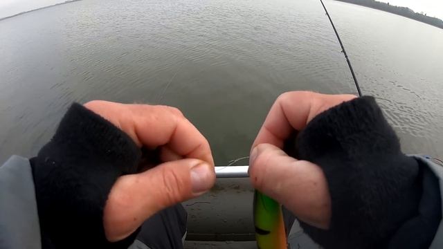 Ловля на большую резину крупной щуки. Zetrix HellHound 842XH до 90 грамм и Lucky John Kubira 76гр смотреть онлайн