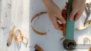 Делаем дудочку из бересты. Мастер класс как сделать дудочку.