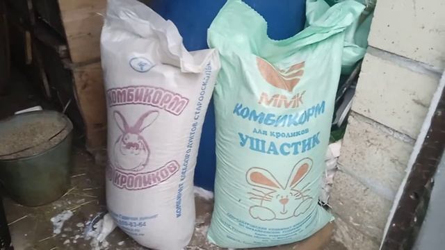 Комбикорм ушастик или староосколький для кроликов.Какой комбикорм лучше? смотреть онлайн