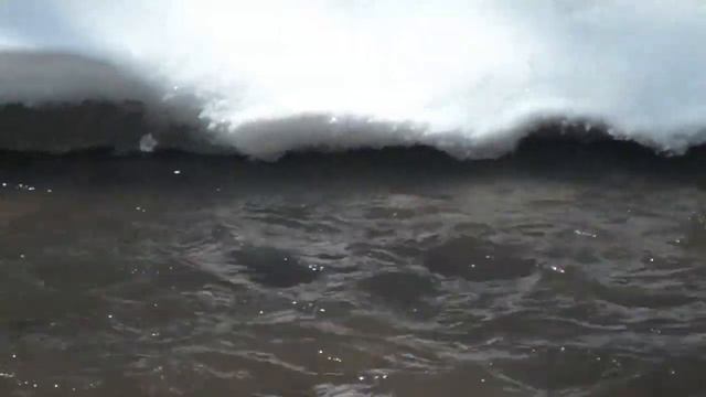 Чудесная птичка ОЛЯПКА.mkv смотреть онлайн