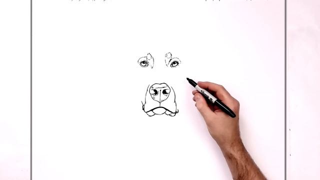 How To Draw A Dobermann | Step By Step смотреть онлайн