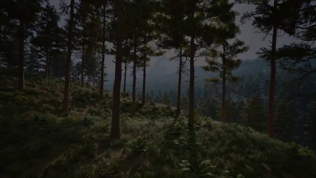 Lookout Tower UE5 смотреть онлайн