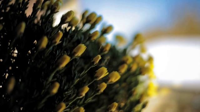 Piotr Kozłowski - PRZEMIJANIE смотреть онлайн