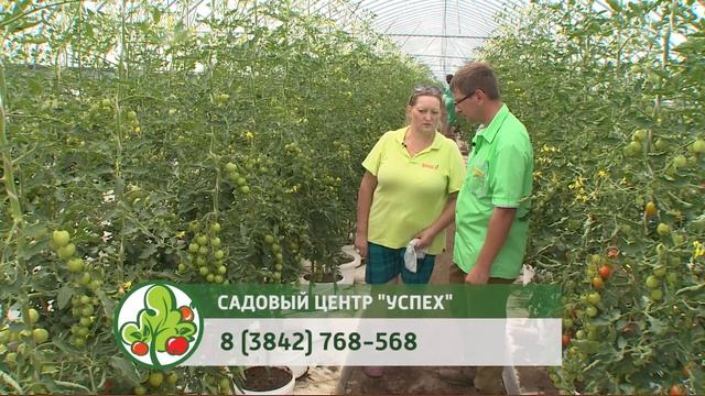 КОНСУЛЬТАНТ САДОВОДА 163 смотреть онлайн