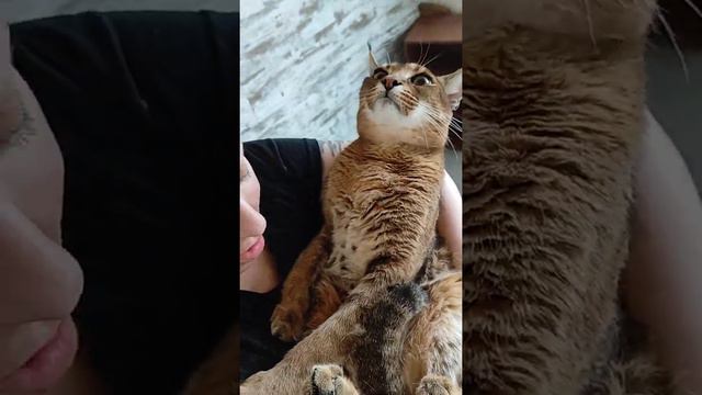 Каракет на руках смотреть онлайн