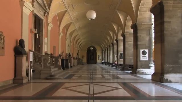 Образование в Вене: обучение в Венском университете смотреть онлайн