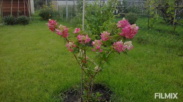 преображение нашей дачи/ было - стало!?️? смотреть онлайн