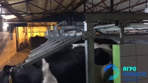 Доильный зал «Параллель 2х16» с командоконтроллерами Kompas 500  ООО АГРОПЛАНЕТА