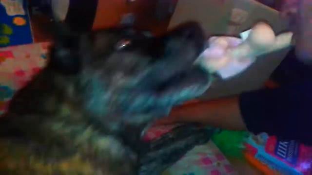 Кто кого. Царевич играет смотреть онлайн