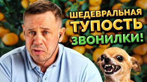 ЛУЧШИЙ ЭКСПОНАТ ДЛЯ МУЗЕЯ ПКМ!  | БАНКРОТСТВО | Кузнецов | Аллиам
