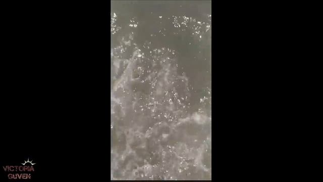 УЖАС В СРЕДИЗЕМНОМ МОРЕ, РАЗБЕРЕМСЯ В РАЙОНАХ МЕРСИНА смотреть онлайн