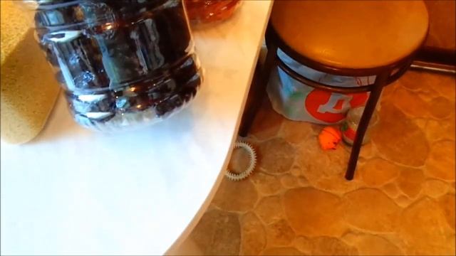 106 - VLOG. Домашний... 18. 02. 2015г.