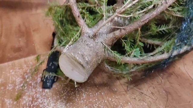 Как СОХРАНИТЬ живую ЕЛКУ дольше. Чтобы ёлка Не желтела и НЕ осыпалась. смотреть онлайн