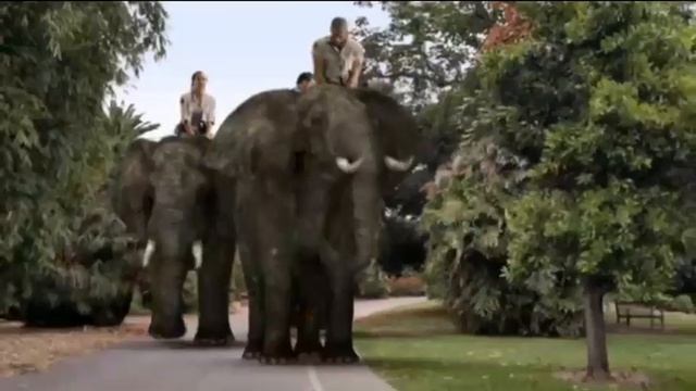 Zoombies - Animal i Have Become смотреть онлайн