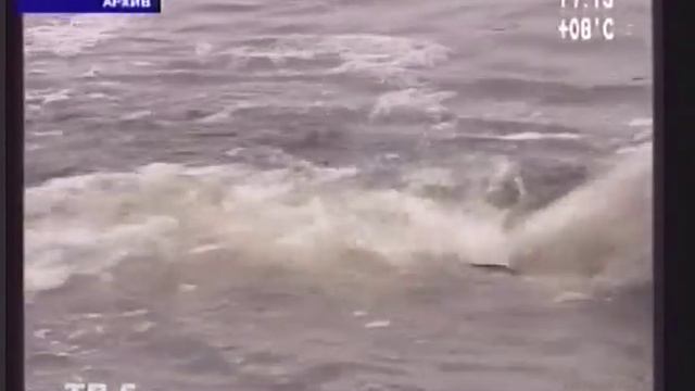 Проблемы Каховского водохранилища смотреть онлайн