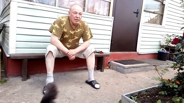 Стихи про гончих собак (Игорь Исаков) смотреть онлайн