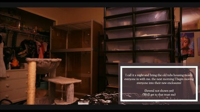 Upgrading ALL My Reptile Enclosures (Officially Returning) смотреть онлайн