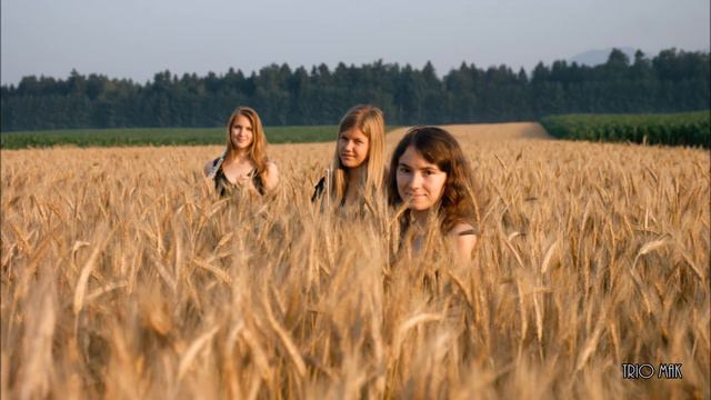 Frederic Chopin (arr. William Bennett): Nocturne in D-flat (Trio MAK) смотреть онлайн