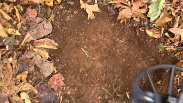 TREASURE!!!! Metal Detecting (First Time) - Minelab Equinox 600