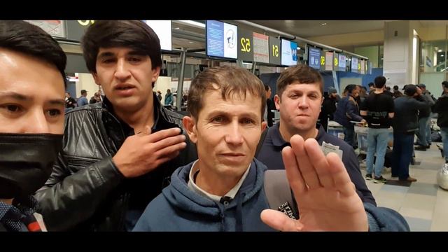 АЭРОПОРТ ДОМОДЕДОВО НАРХИ БИЛЕТО БАДИ 30 ПРОВЕРКА САРМЕШАВАД!! смотреть онлайн