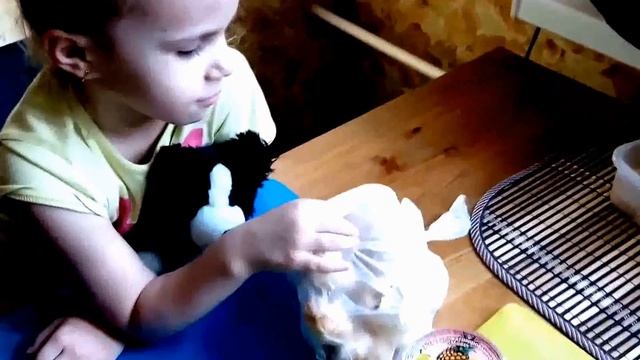 Катаем самосвал и едим желе!