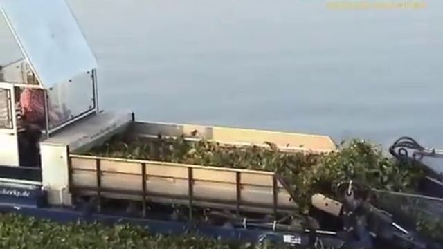 Машина для очистки водоемов BERKY 6520 смотреть онлайн