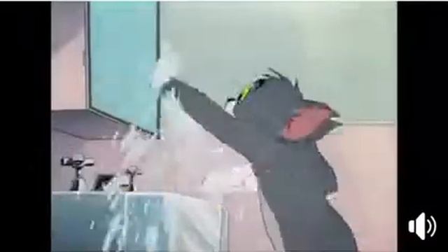 Хозяйка чихает кот убегает!😂😂😂😂😂😂😂😅😅😅😅😅😅 смотреть онлайн