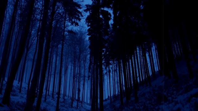 Страшные истории. Работа в ТАЙГЕ - 4. смотреть онлайн