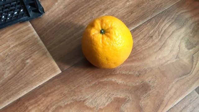 Закупка сыроеда на 