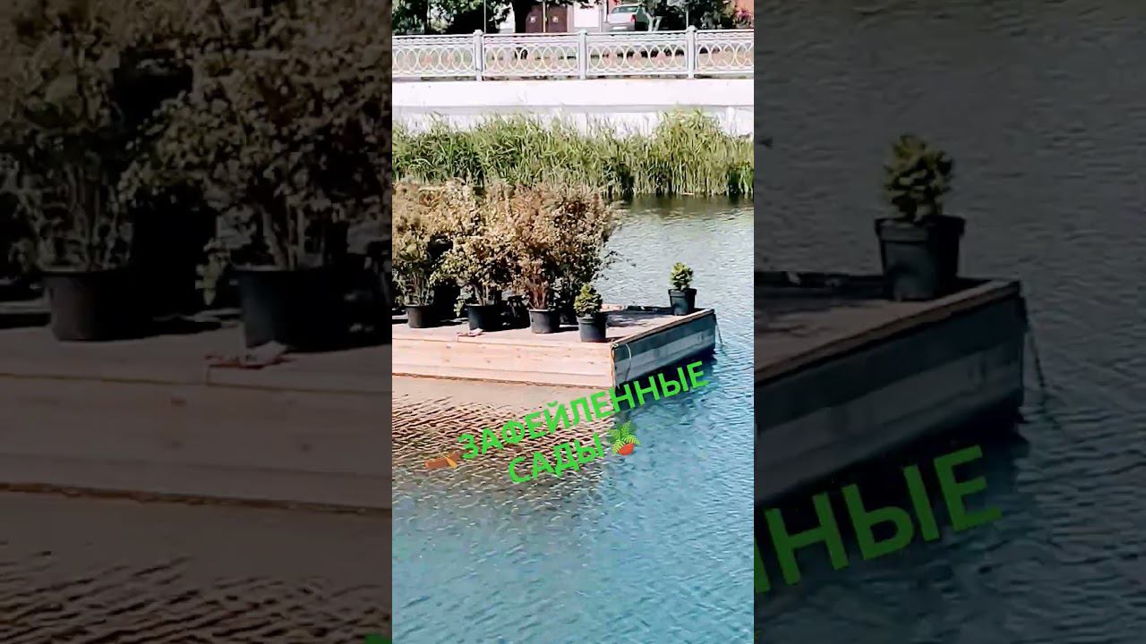НЕУДАЛЫЕ ПЛАВУЧИЕ САДЫ #сад #садик #гладков #чесноков #старыйоскол #плавучиесады смотреть онлайн