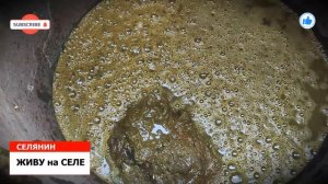 КОРОВЯК для ОГУРЦА, НАВОЗНАЯ ЖИЖА для ОГУРЦА/ЖИВУ на СЕЛЕ*СЕЛЯНИН